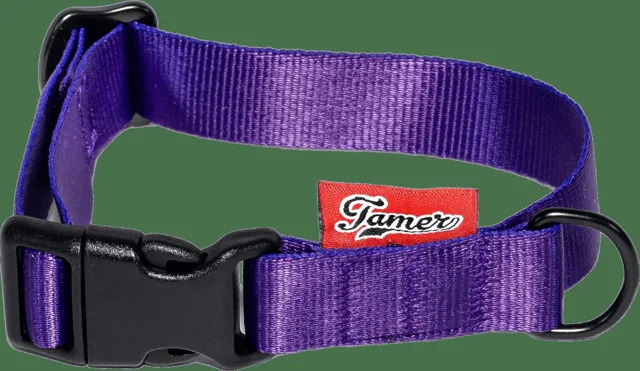 Obojek Tamer Simple 2 cm 24-36 cm fialový