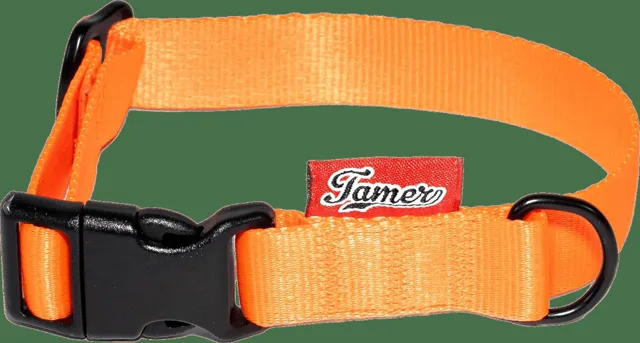 Obojek Tamer Simple 2 cm 24-36 cm oranžový