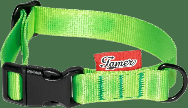 Obojek Tamer Simple 2 cm 24-36 cm zelený