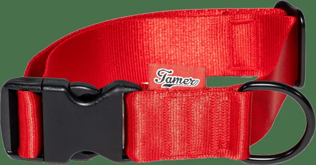 Obojek Tamer Simple 4 cm 33-55 cm červený