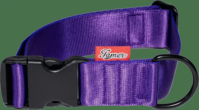 Obojek Tamer Simple 4 cm 33-55 cm fialový