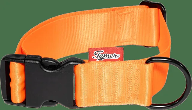 Obojek Tamer Simple 4 cm, 33-55 cm oranžový