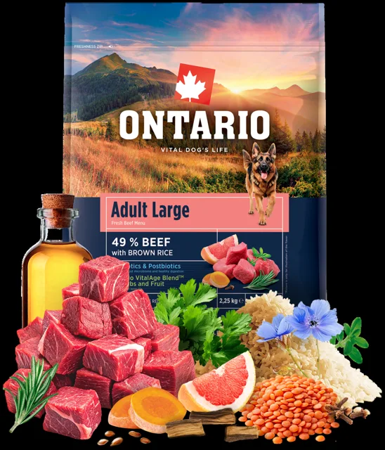 Ontario Adult Large Beef & Brown Rice 2,25kg