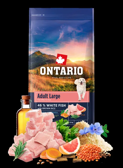 Ontario Adult Large Fish & Brown Rice 12kg