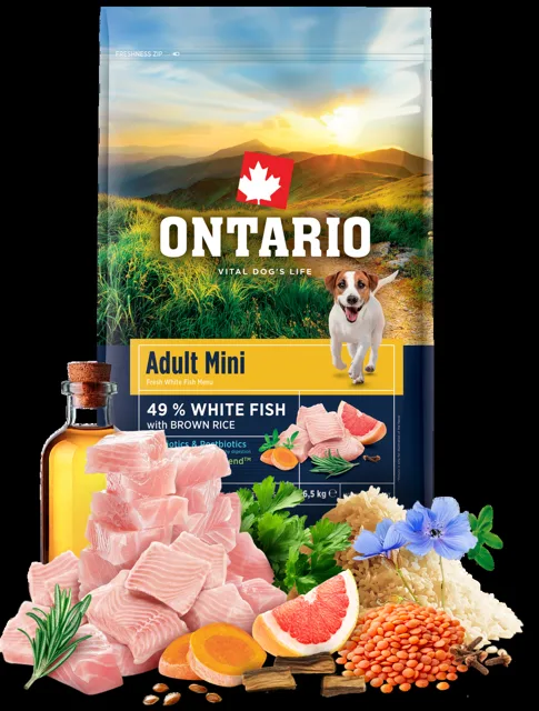 Ontario Adult Mini Fish & Brown Rice 6,5kg