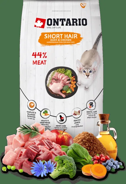 Ontario Cat Shorthair 6,5 kg