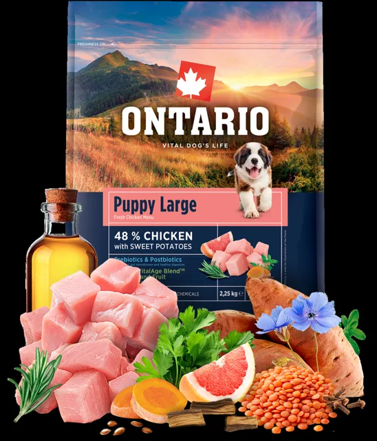 Ontario Puppy Large Chicken & Sweet Potatoes 2,25kg