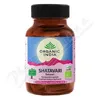 Organic India Shatavari BIO cps.60