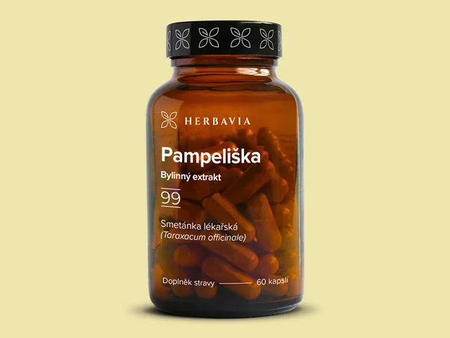 Pampeliška  bylinný extrakt - 60 kapslí