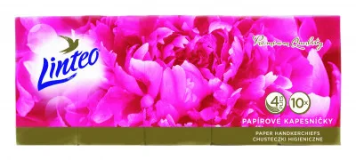 Papírové kapes.LINTEO PREMIUM-4-vrstvé bílé 10x10