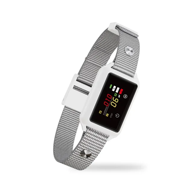 Patpet B800 | P49179
