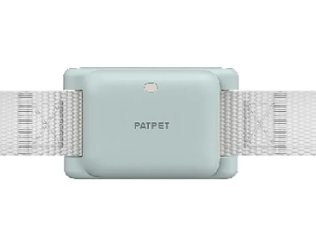 Patpet Obojek a přijímač pro Patpet 628 - Modrá | P56083
