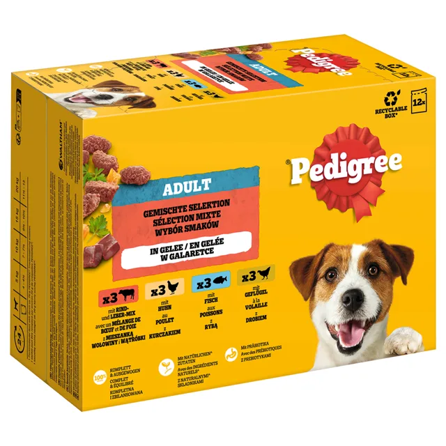 Pedigree Adult kapsičky multibalení - výhodné balení: smíšený výběr  v omáčce (4 varianty) 48 x 100 g