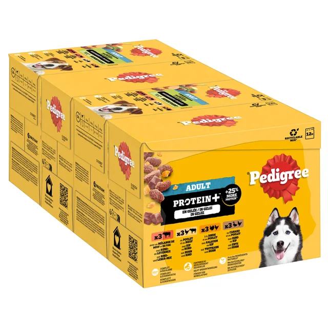Pedigree Adult Protein Plus kapsičky v želé - 12 x 85 g (4 druhy)