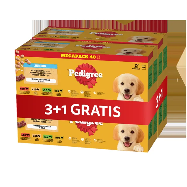 PEDIGREE Junior Výběr příchutí s rýží sáčky 4 x 40x100 g kompletní mokré krmivo pro štěňata kousky v želé 3+1 ZDARMA