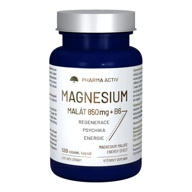 Pharma Activ Magnesium MALÁT 850 mg + B6 120 tobolek