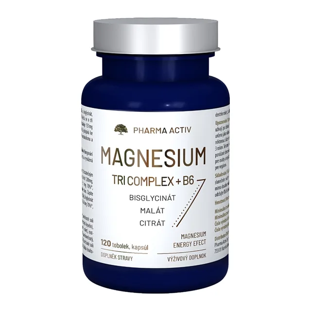 PHARMA ACTIV Magnesium TRI COMPLEX + B6 120 tobolek