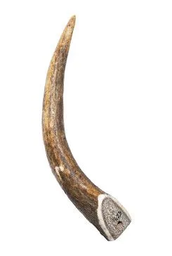 Pochoutka Paroží Jelen 40-70g