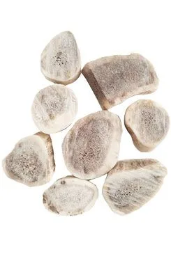 Pochoutka Paroží Pro Hlodavce Daněk 30g