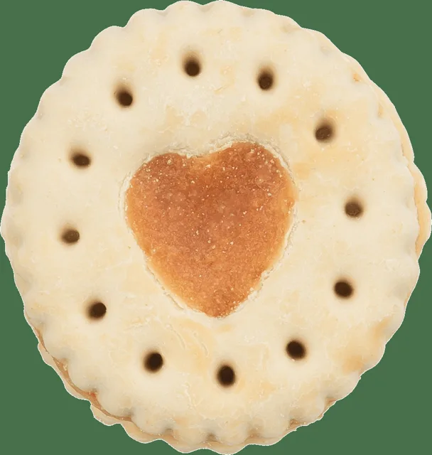Pochoutka Trixie sušenky kuřecí 100g