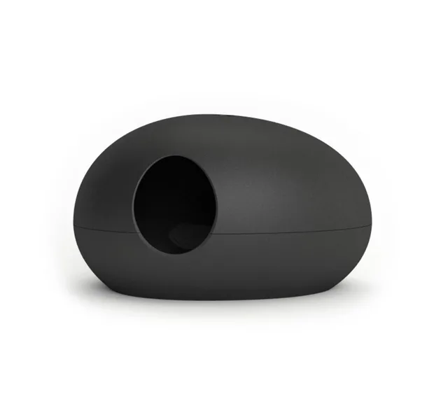 Poopoopeedo | P52999