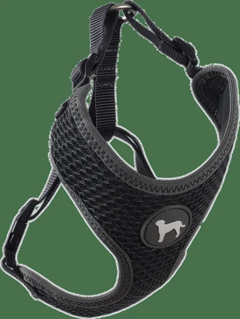Postroj Active Dog Mellow M šedý 1,5x40-55cm