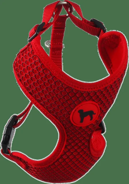 Postroj Active Dog Mellow S červený 1,5x35-47cm