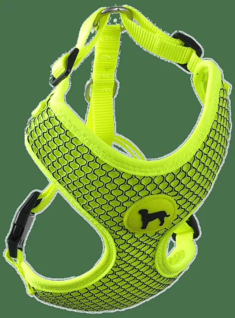 Postroj Active Dog Mellow S limetka 1,5x35-47cm