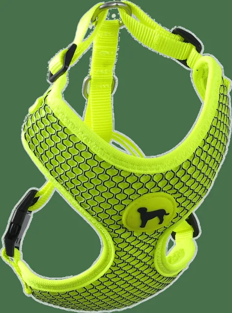 Postroj Active Dog Mellow XS limetka 1,5x30-40cm