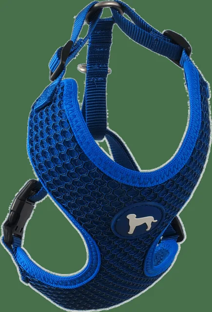 Postroj Active Dog Mellow XS tm. modrý 1,5x30-40cm