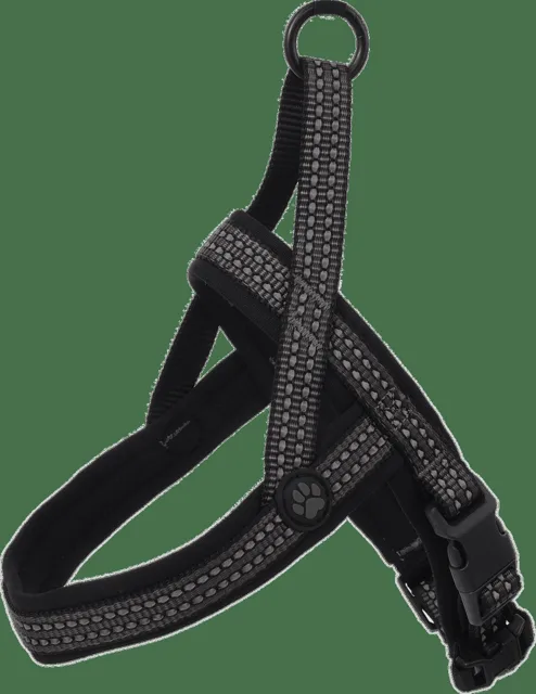 Postroj Active Dog Neoprene S/M šedý 2x52-60cm