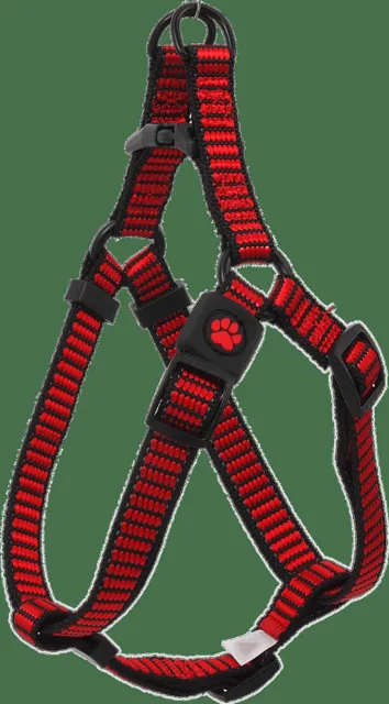 Postroj Active Dog Premium M červený 2x53-77cm