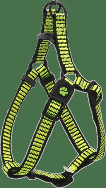 Postroj Active Dog Premium XS limetka 1x32-44cm