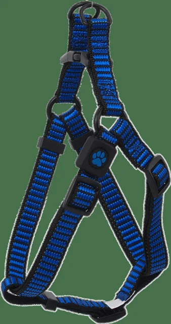 Postroj Active Dog Premium XS modrý 1x32-44cm