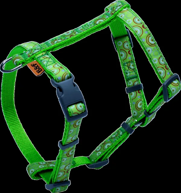 Postroj BaF kroužky zelený 2x35-56x46-72cm