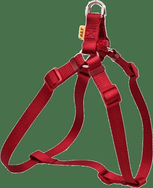 Postroj BaF nylon červený 2,5x58-90cm