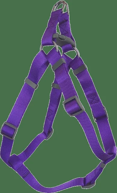 Postroj BaF nylon fialový 2,5x58-90cm