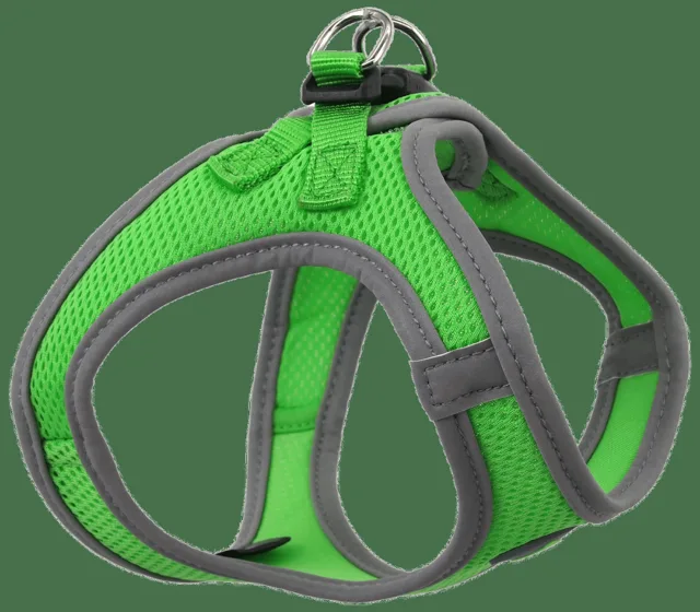 Postroj Dog Fantasy Puppy S limetka 36-41cm