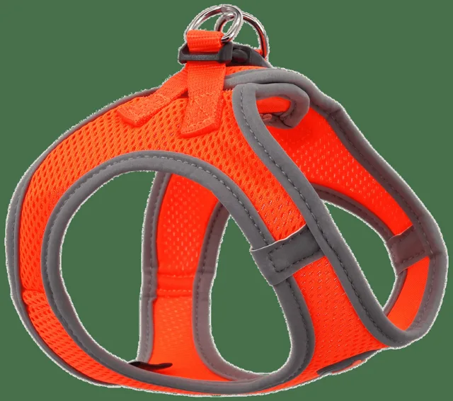 Postroj Dog Fantasy Puppy S oranžový 36-41cm