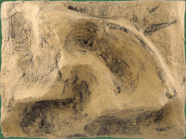 Pozadí Repti Planet do terária 40,5×55,5×12cm