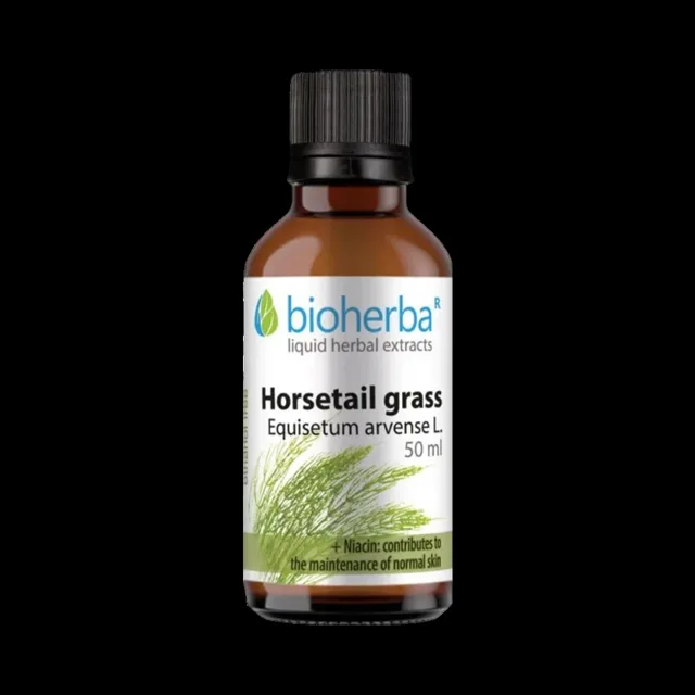 Přeslička (Horsetail) kapky – tinktura – 50 ml – Bioherba