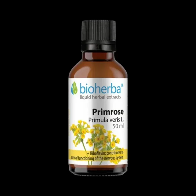 Prvosenka (Primula veris) kapky – tinktura – 50 ml – Bioherba