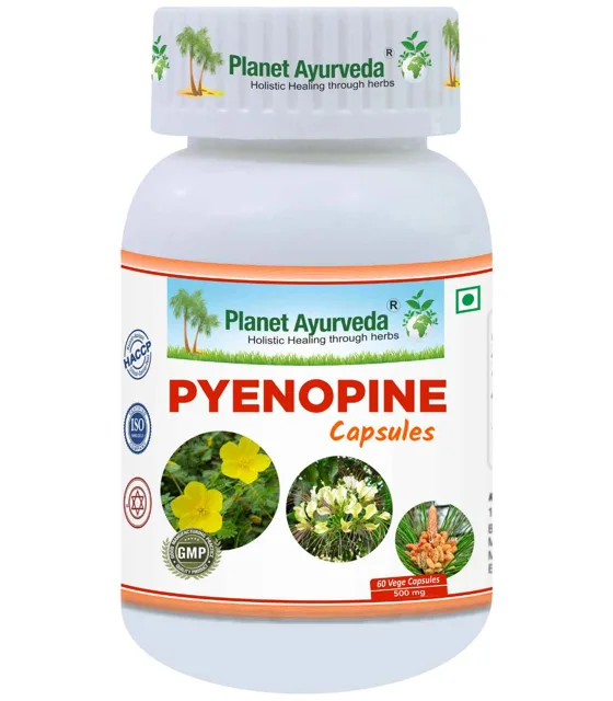 Pyenopine - 500 mg, 60 kapslí