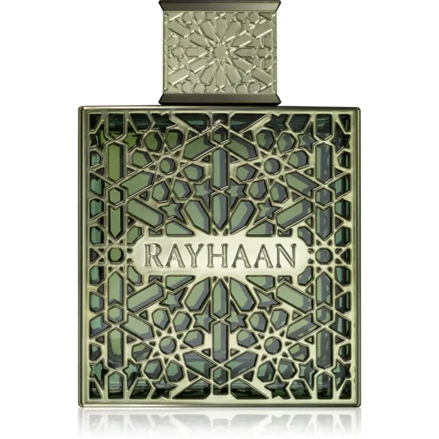 Rayhaan Terra parfémovaná voda pro muže 100 ml