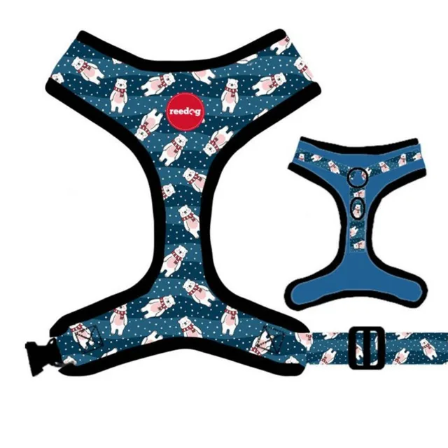 Reedog BEAR - M | P51906