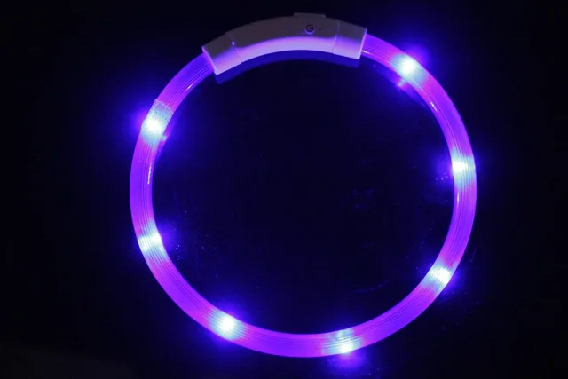 Reedog Easy Light USB dobíjecí svítící obojek pro psy a kočky - Modrá | P45810