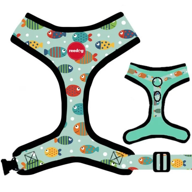 Reedog FISH - XS | P52044