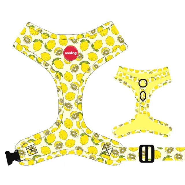 Reedog LEMON - XXS | P51907