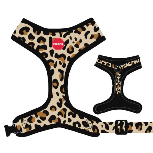 Reedog LEO | P51815