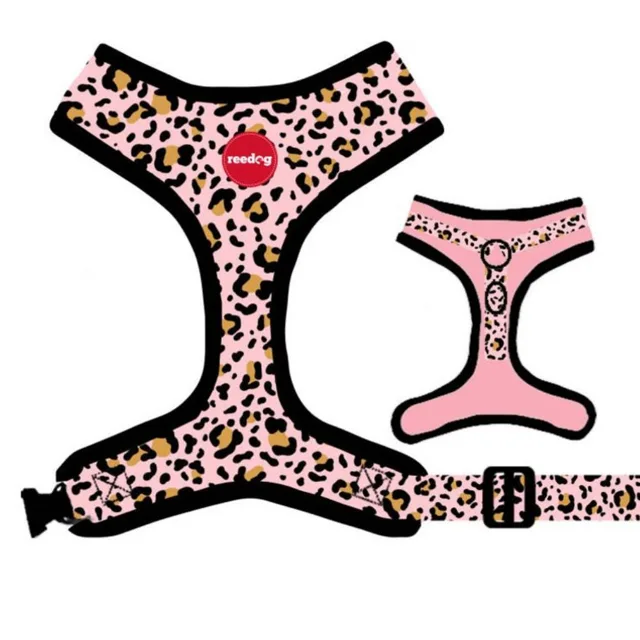 Reedog LEO PINK - S | P51929
